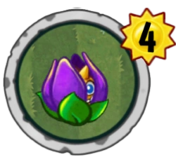 Shrinking Violet