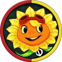 Solar Flare
